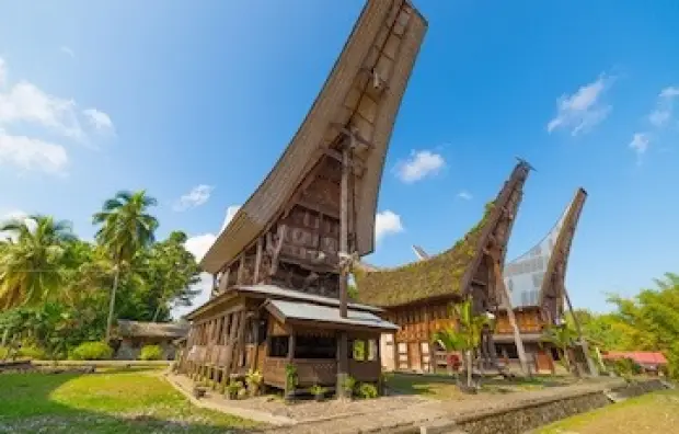 img indonesia 2x